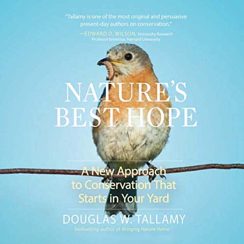 Natures - Best Natures & How to Change