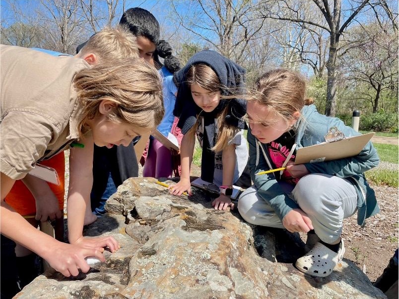 nature fascination city kids looking for moss and lichen